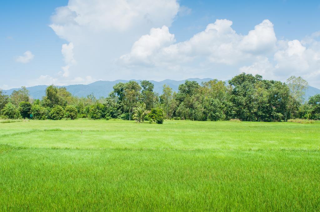 Tum Baan Suan ตุ่มบ้านสวน Chanthaburi Extérieur photo